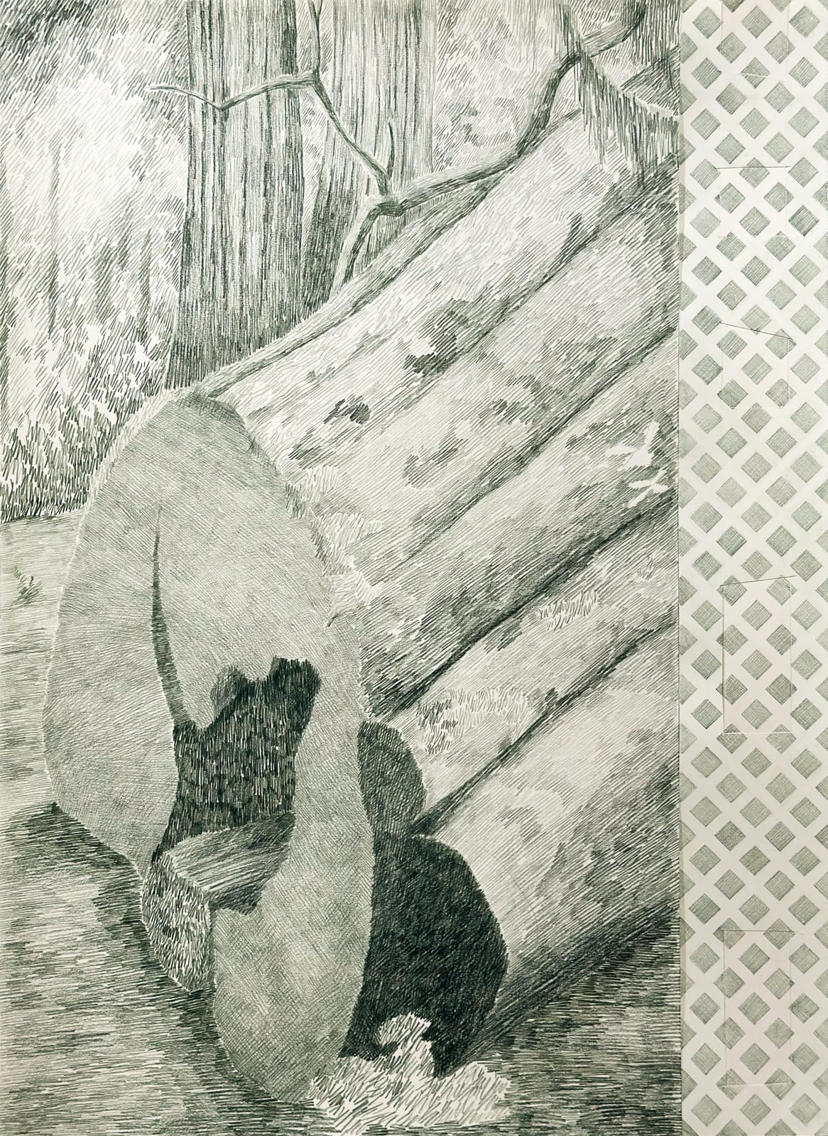 Gabriela Albergaria (Portugal/Belgium), Landscape in Repair, Nurse log at Sequoia National Park #1, 2025