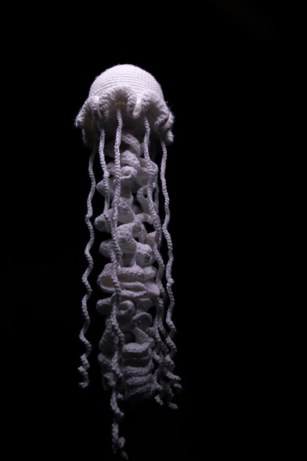 Mulyana (Indonesia), Jellyfish, 2023