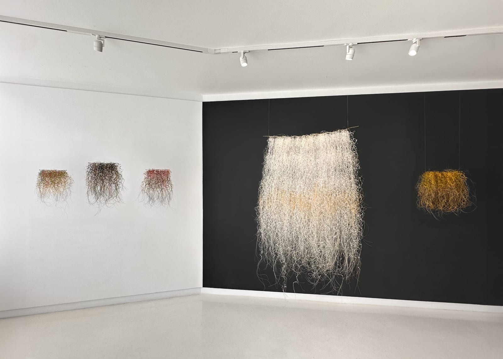Yvonne Pacanovsky Bobrowicz, Cosmic Series , 2005