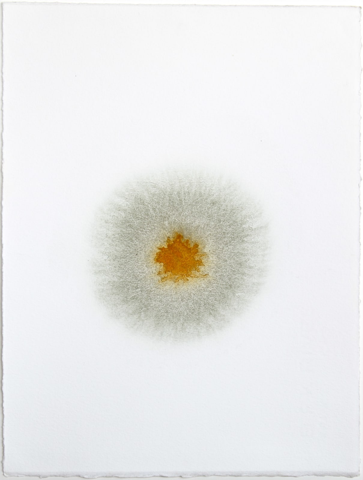 Shinji Turner-Yamamoto (Japan/US), Star-Sun #09, 2007