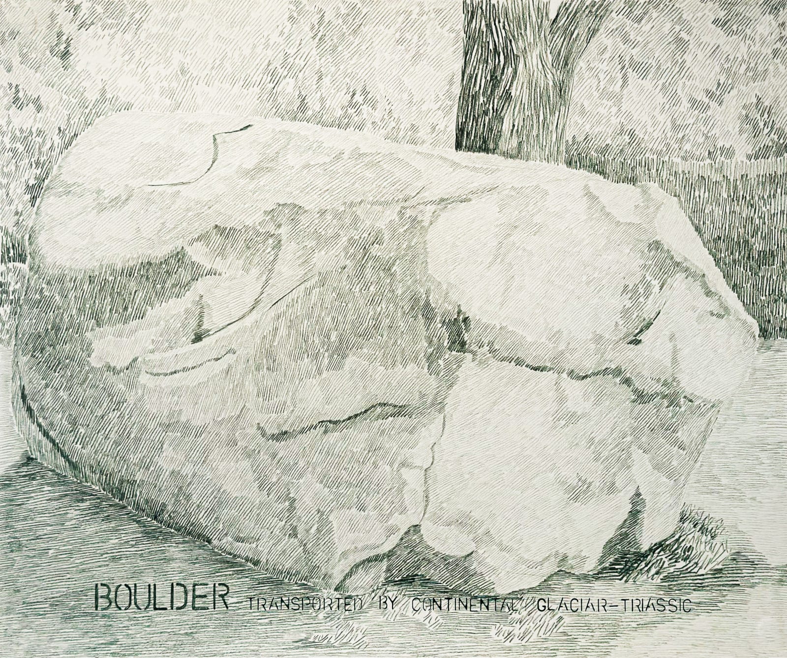 Gabriela Albergaria (Portugal/Belgium), Boulder transported by continental glacier- Triassic, Brooklyn Botanic #1, 2025