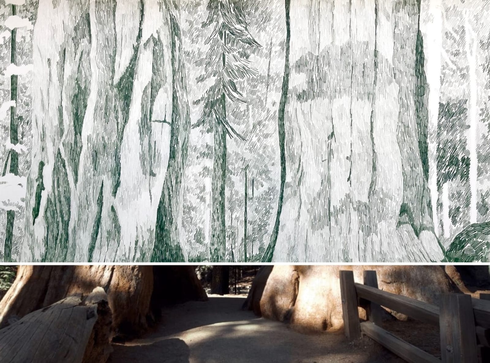 Gabriela Albergaria (Portugal/Belgium), Sequoia National Park #2, 2023