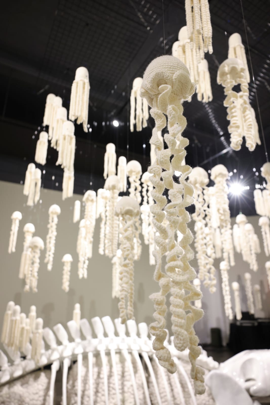 Mulyana (Indonesia), Jellyfish, 2023
