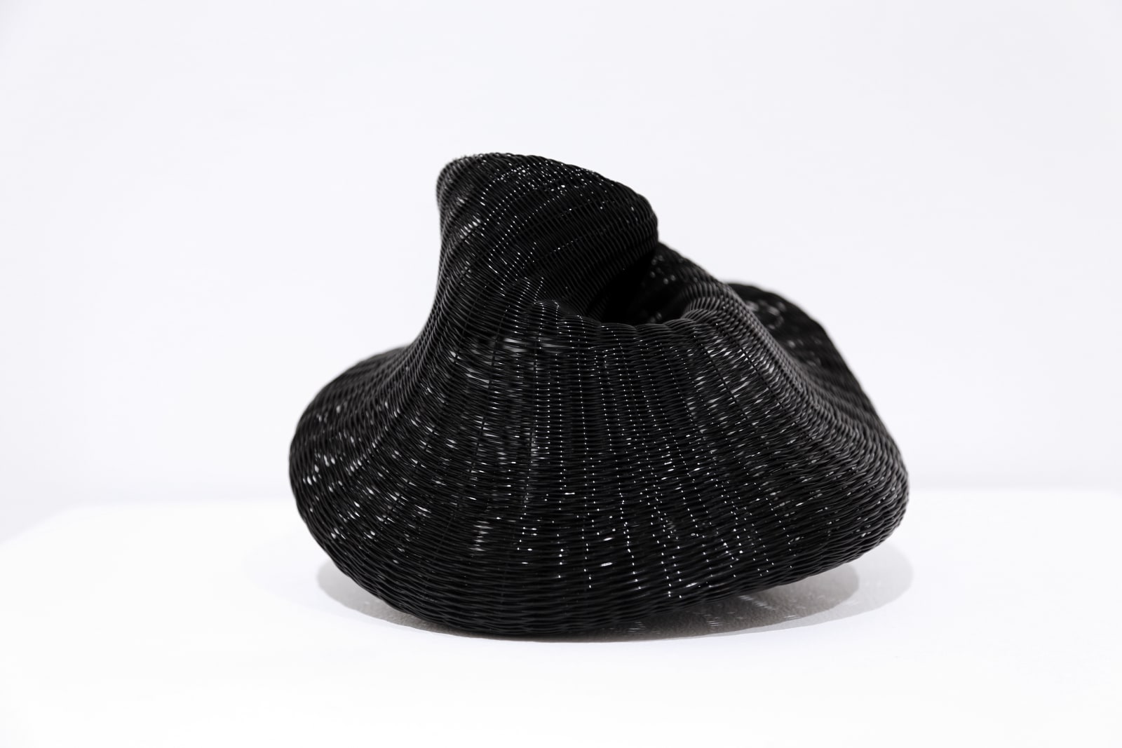 Sui Park (Korea/US), Bloom 2 in Black , 2021