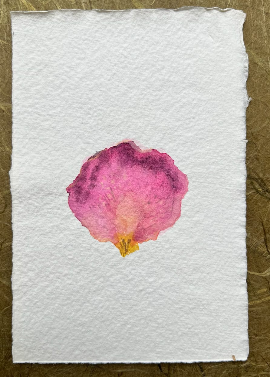 Bilgé (Turkey/US), Double Rose Petals Book, 1978