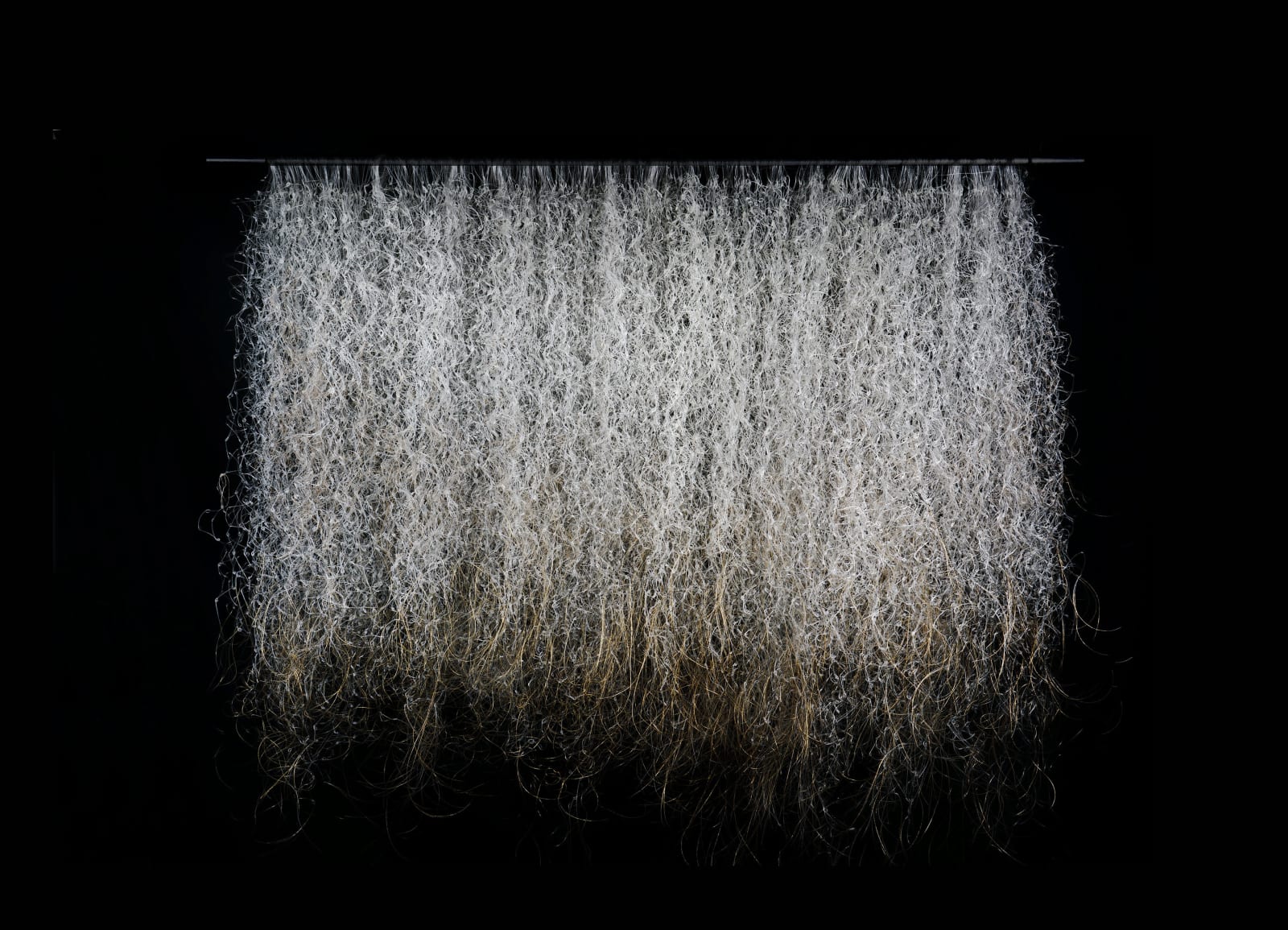 Yvonne Pacanovsky Bobrowicz, Energy Field, 1985