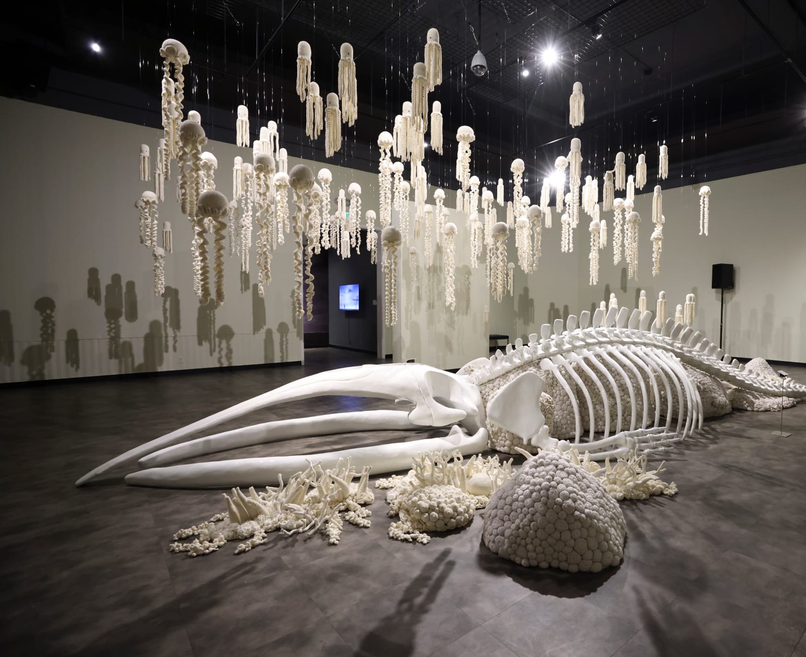 Mulyana (Indonesia), Jellyfish, 2023
