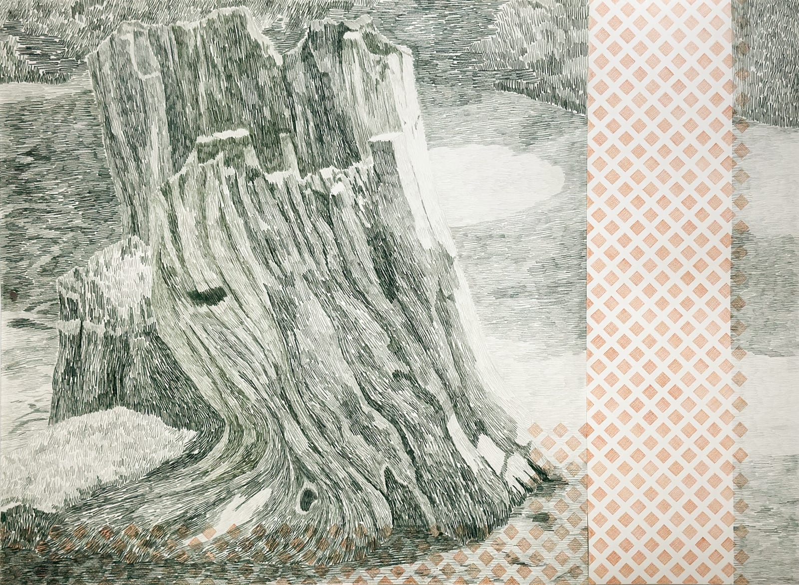 Gabriela Albergaria (Portugal/Belgium), Landscape in Repair, Nurse log at Forêt de Soignes #2, 2025