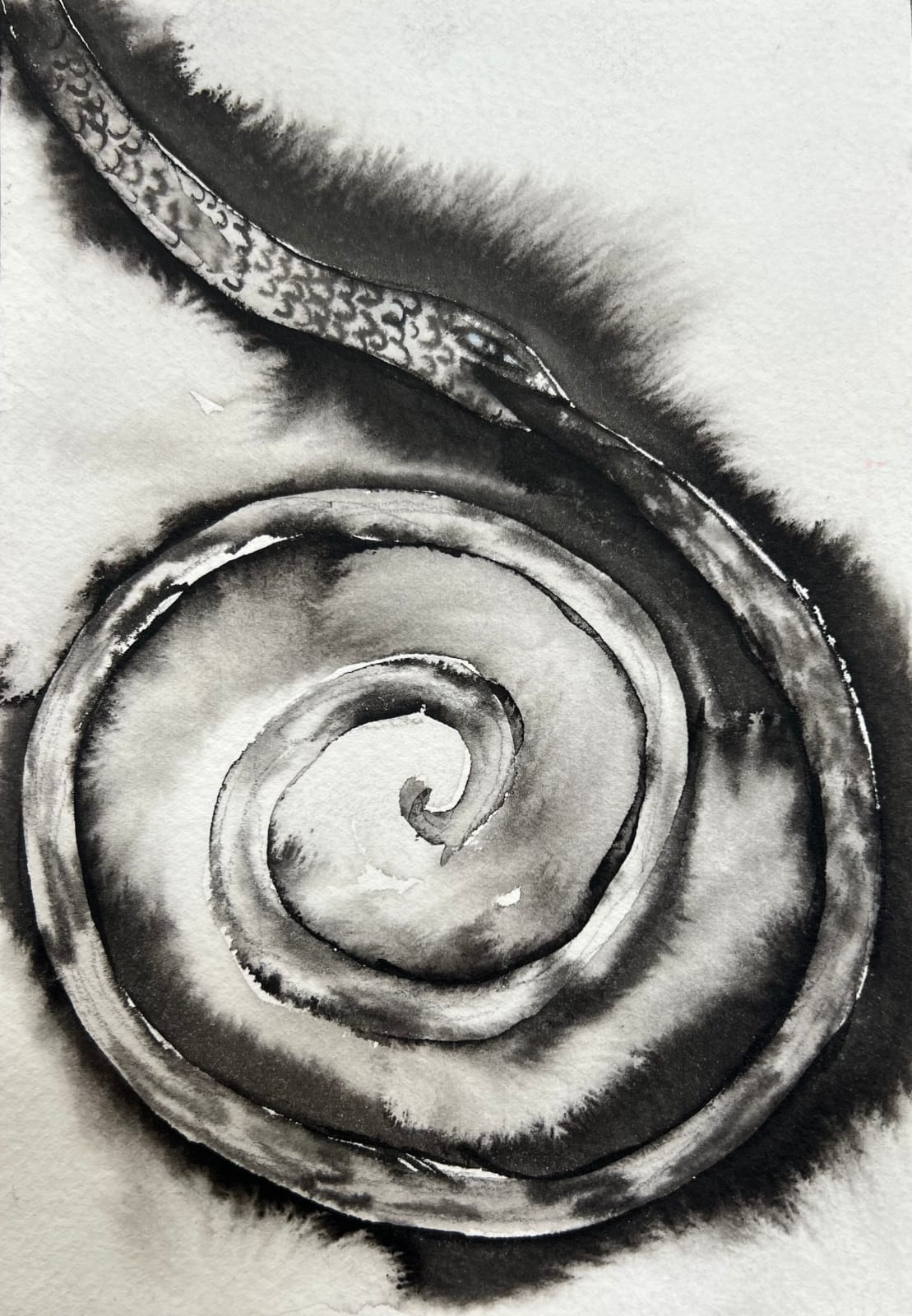 Cecilia Granara, snake, spiral, 2023