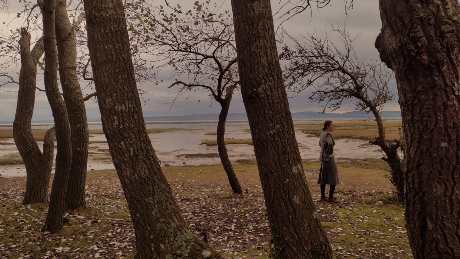 Lily Ashley, Playing catch with nature, 2022