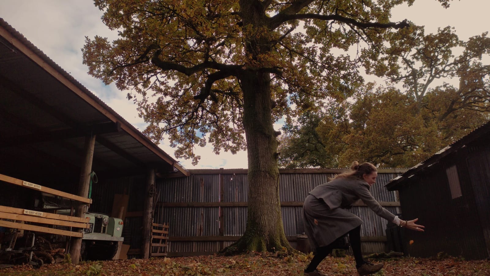 Lily Ashley, Playing catch with nature, 2022