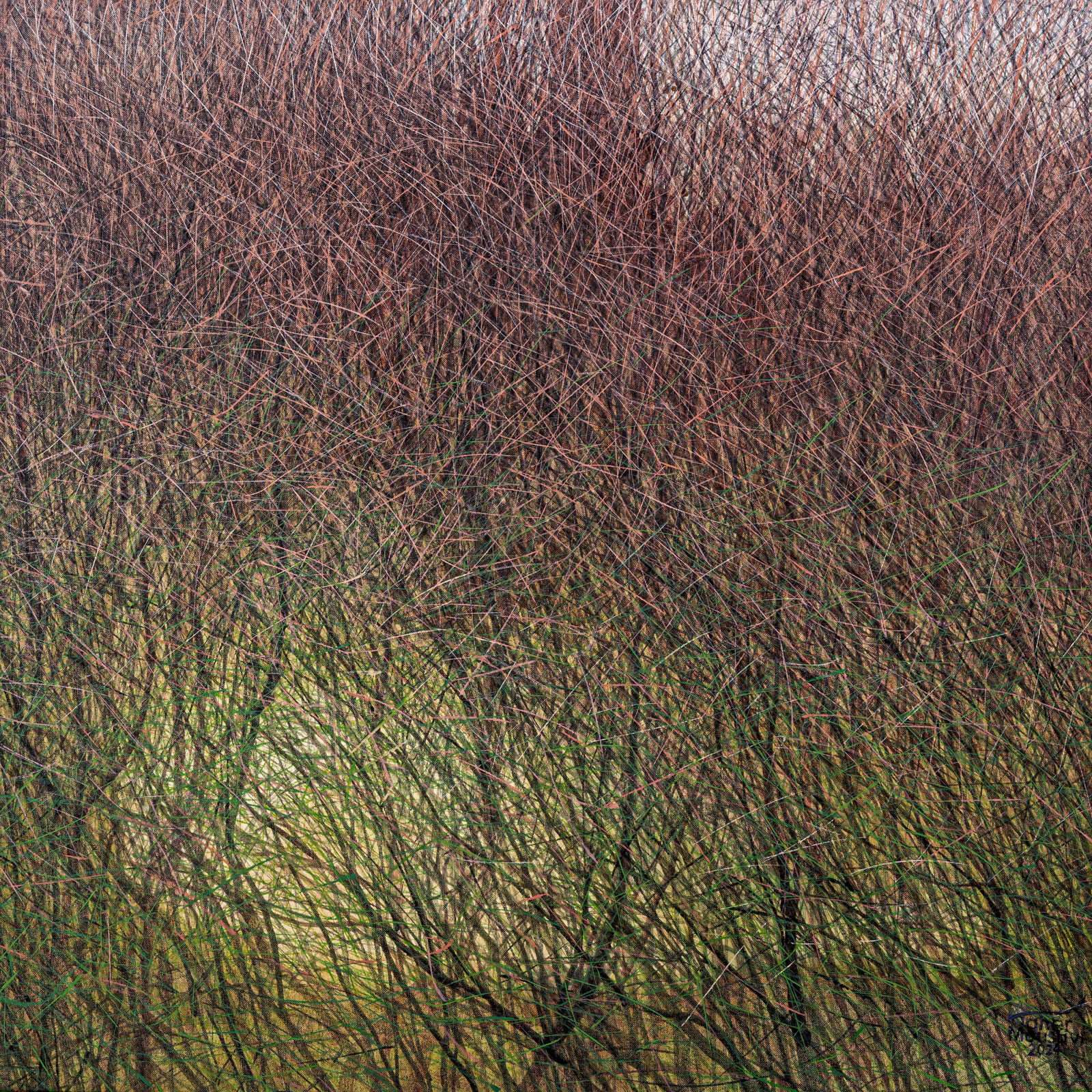 Seyed Taher Mousavi, Nature 11, 2023