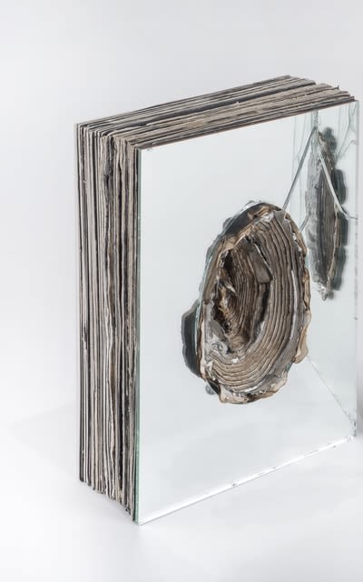 Mahdieh Abolhasan, Wither, 2015