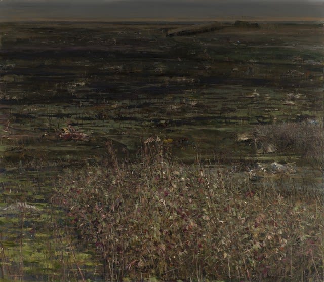 Abbas Nasle Shamloo, The Land of No Sun 20, 2020