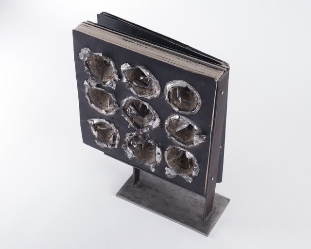 Mahdieh Abolhasan, Burst, 2019