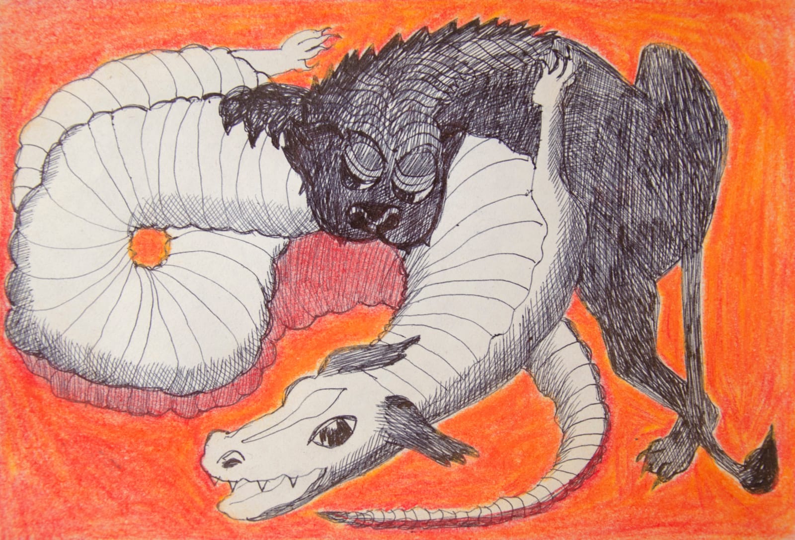 Anahita Darabbeigi, Orange, 2023