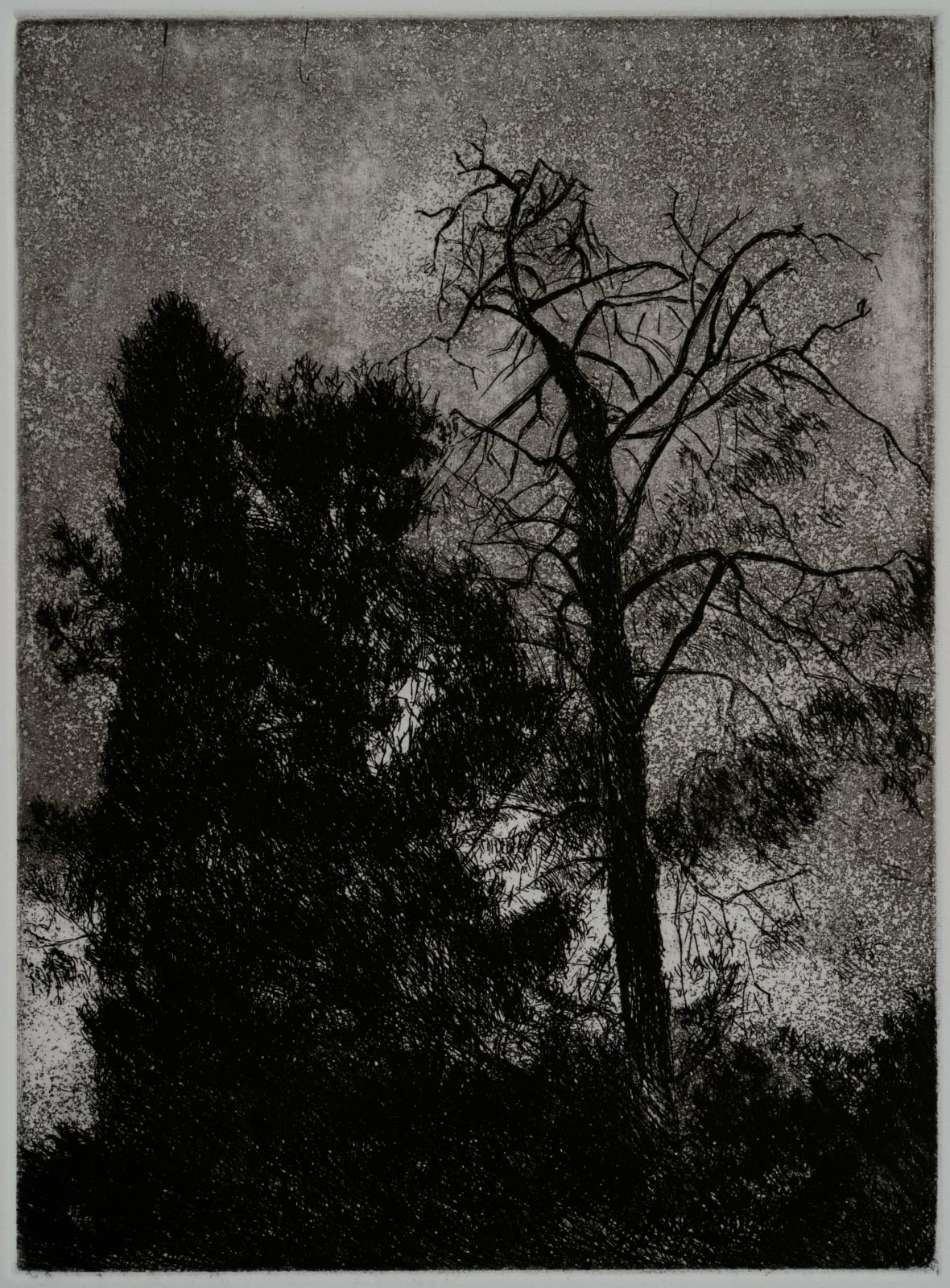 Samaneh Samimi, Untitled 4, 2021