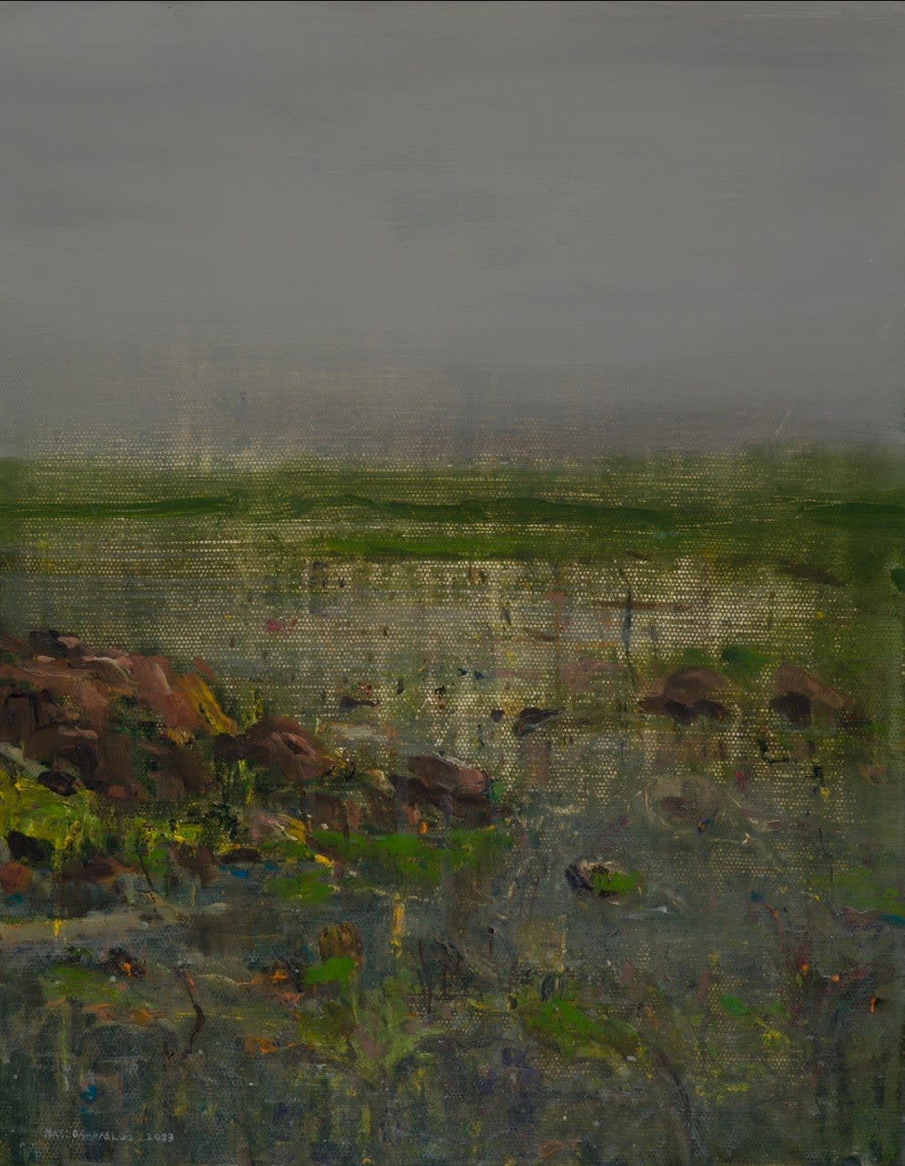 Abbas Nasle Shamloo, Enclosure 26, 2023
