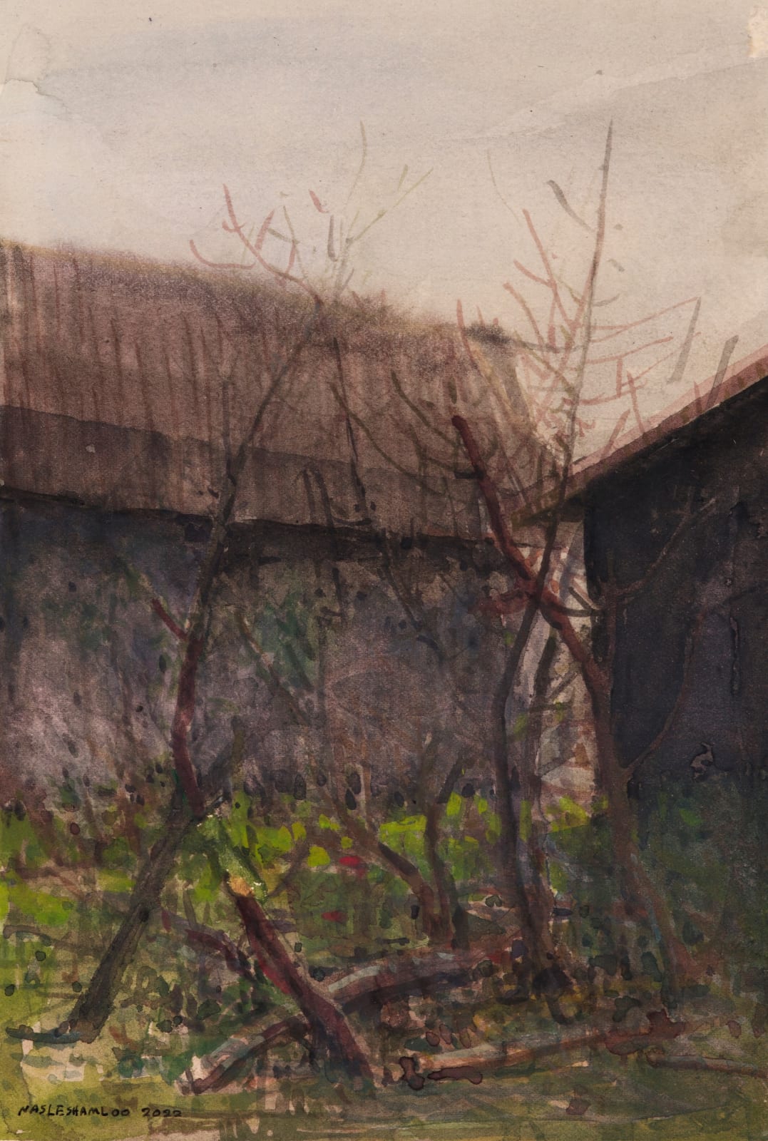 Abbas Nasle Shamloo, Enclosure 4, 2022