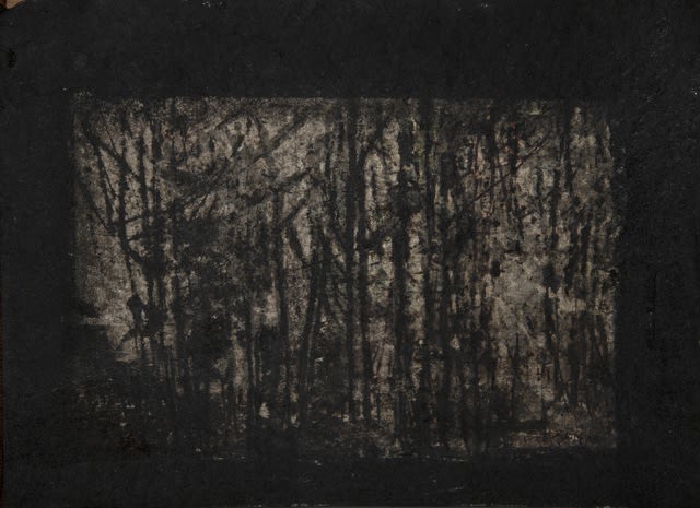 Abbas Nasle Shamloo, Beyond Alienation 31, 2019