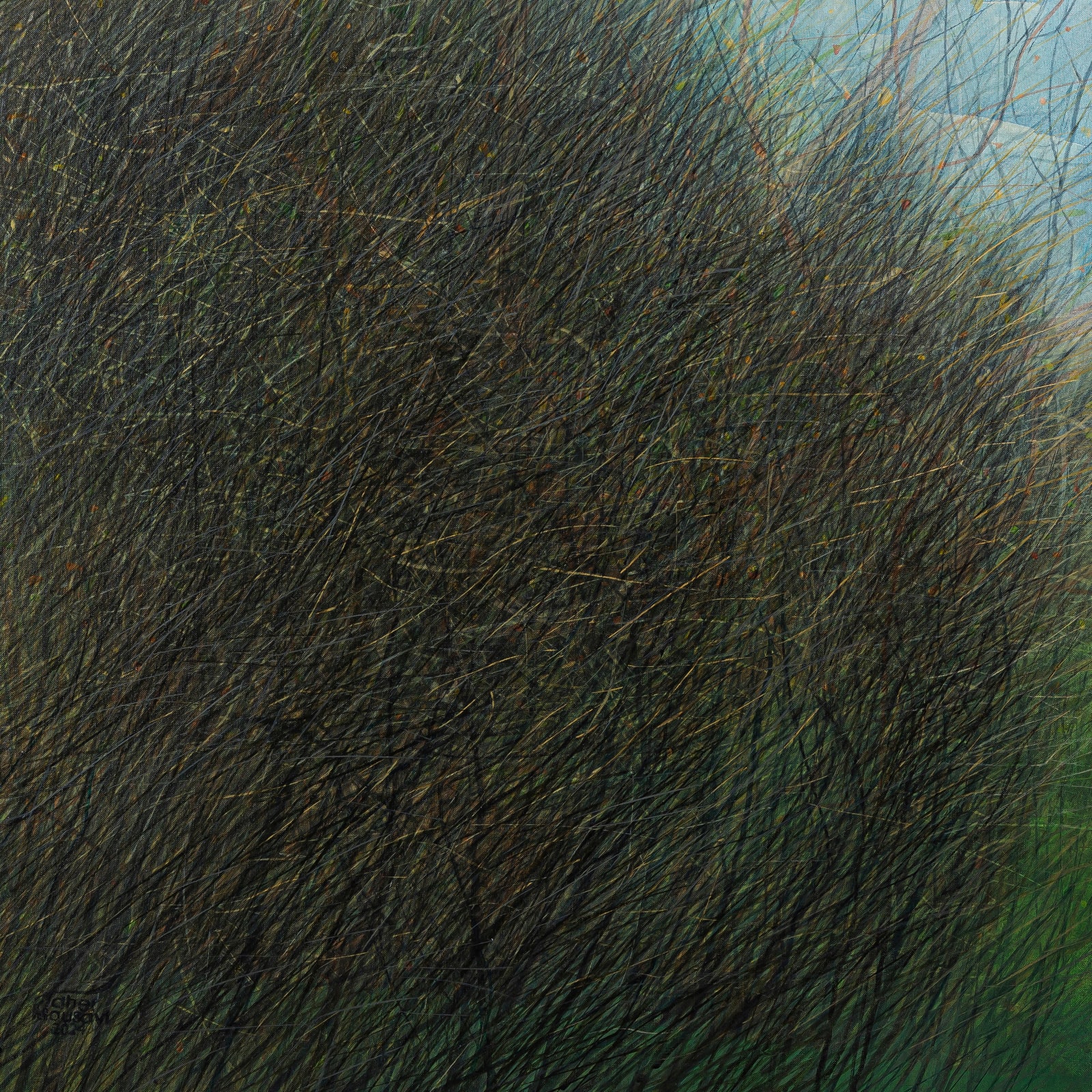 Seyed Taher Mousavi, Nature 10, 2023