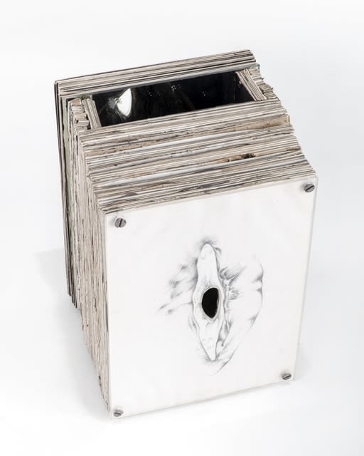 Mahdieh Abolhasan, Existence, 2015