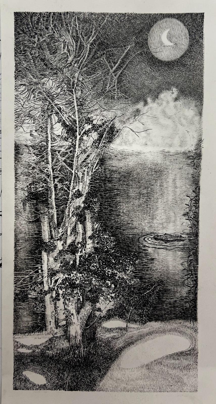 Arezoo Shiravani, Untitled, 2023