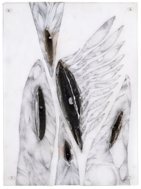 Mahdieh Abolhasan, Pillage, 2020