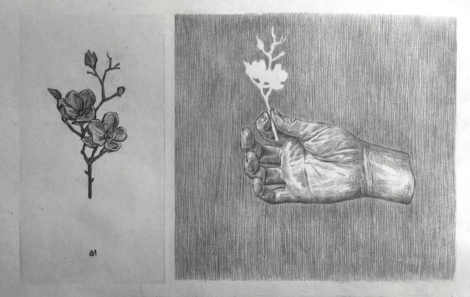 Nazanin Abdollahi, Hidden Elegies, 2024