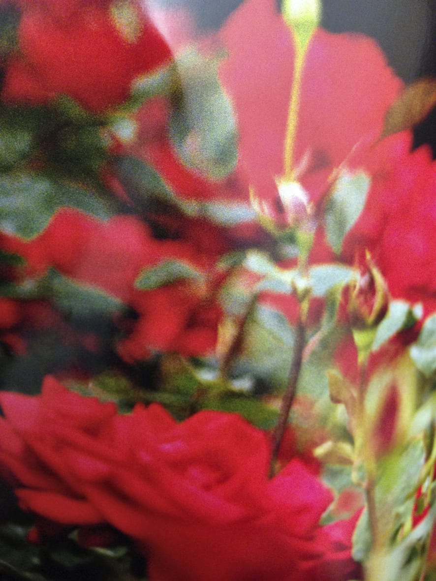 Kiron Robinson, Untitled #1, 2015