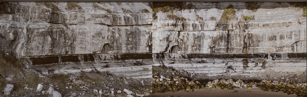 Bianca Hester, Extinction Lines, 2024