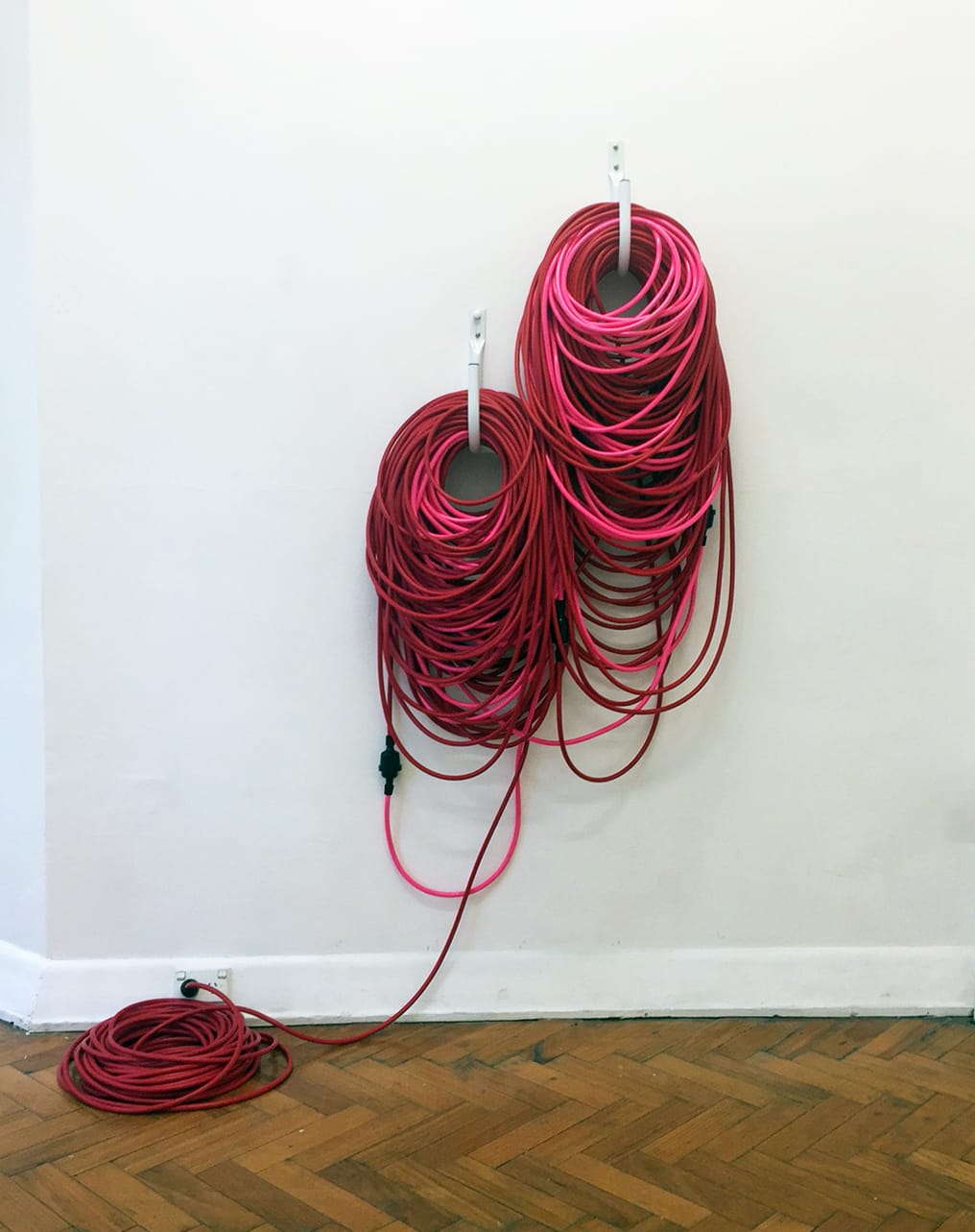 Anna Finlayson, Extension 2, 2017