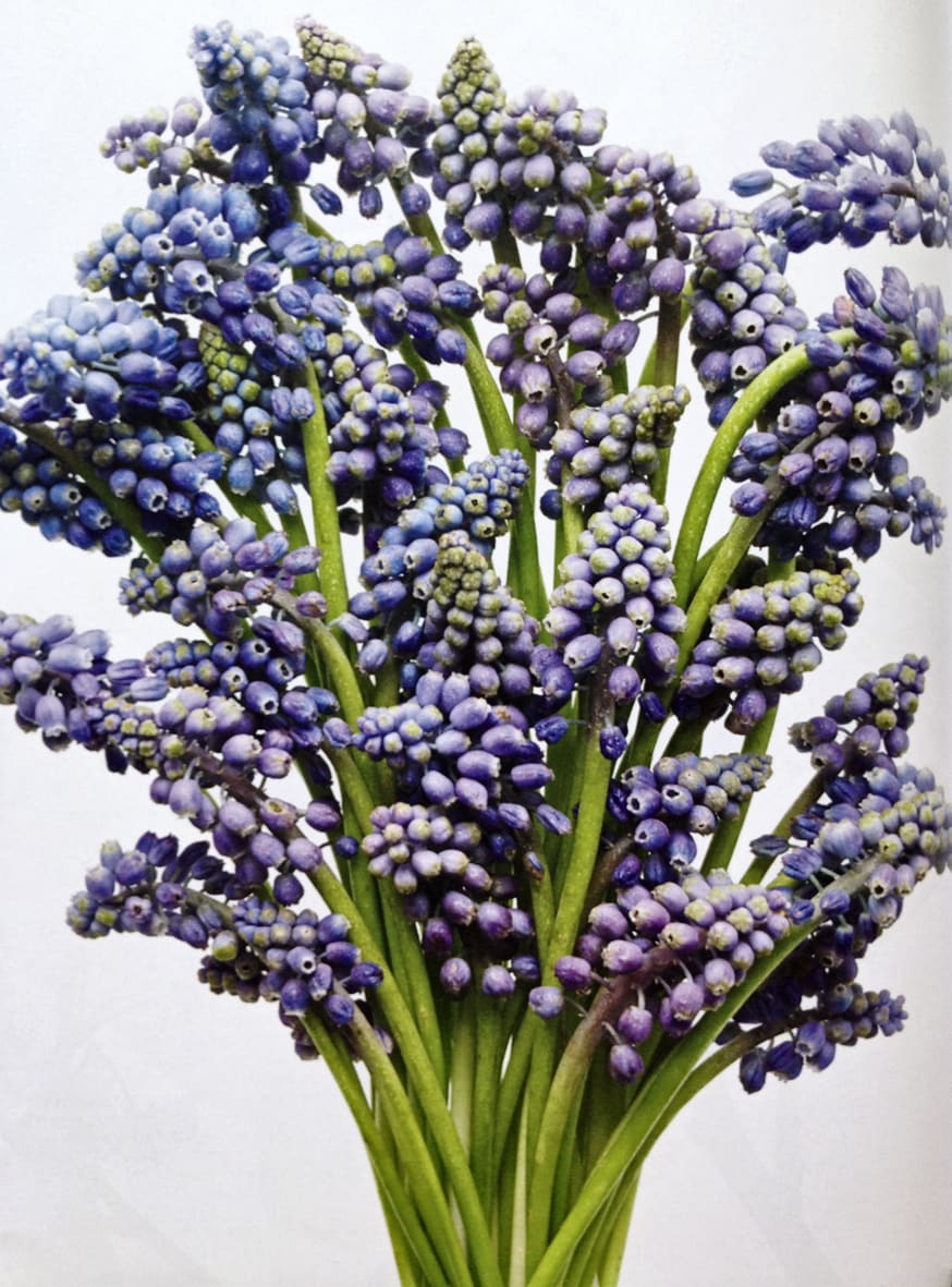 Kiron Robinson, Untitled #35, 2015