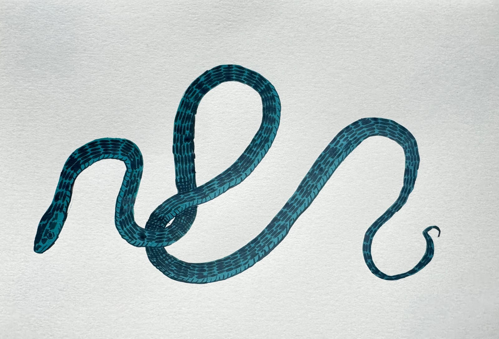 Sharon Goodwin, Unknown (snake), 2024