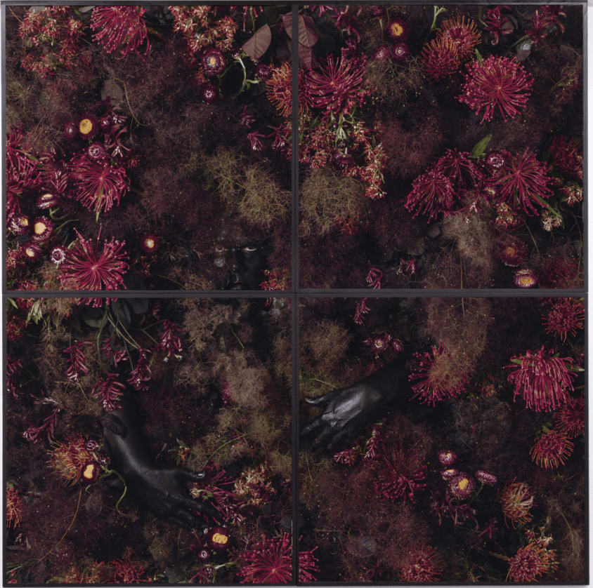 Christian Thompson AO, The Wild Places (Flower Wall), 2021