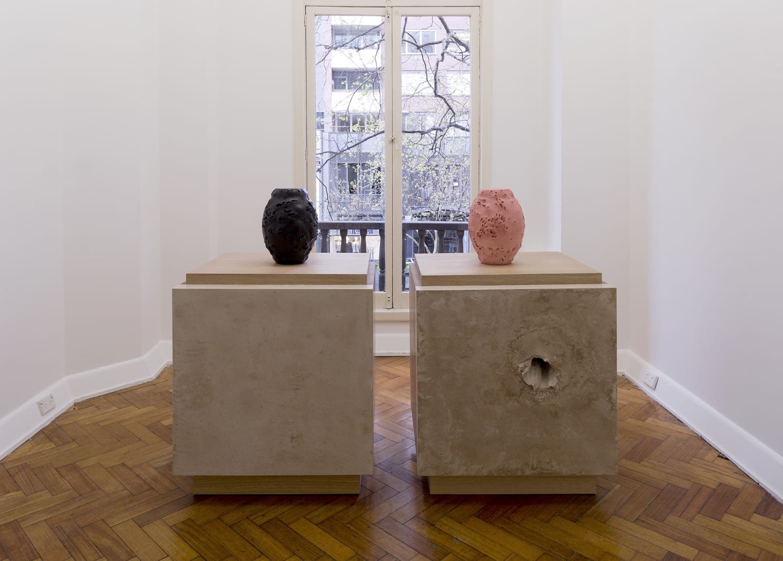 Fiona Abicare, Overexposures, 2016