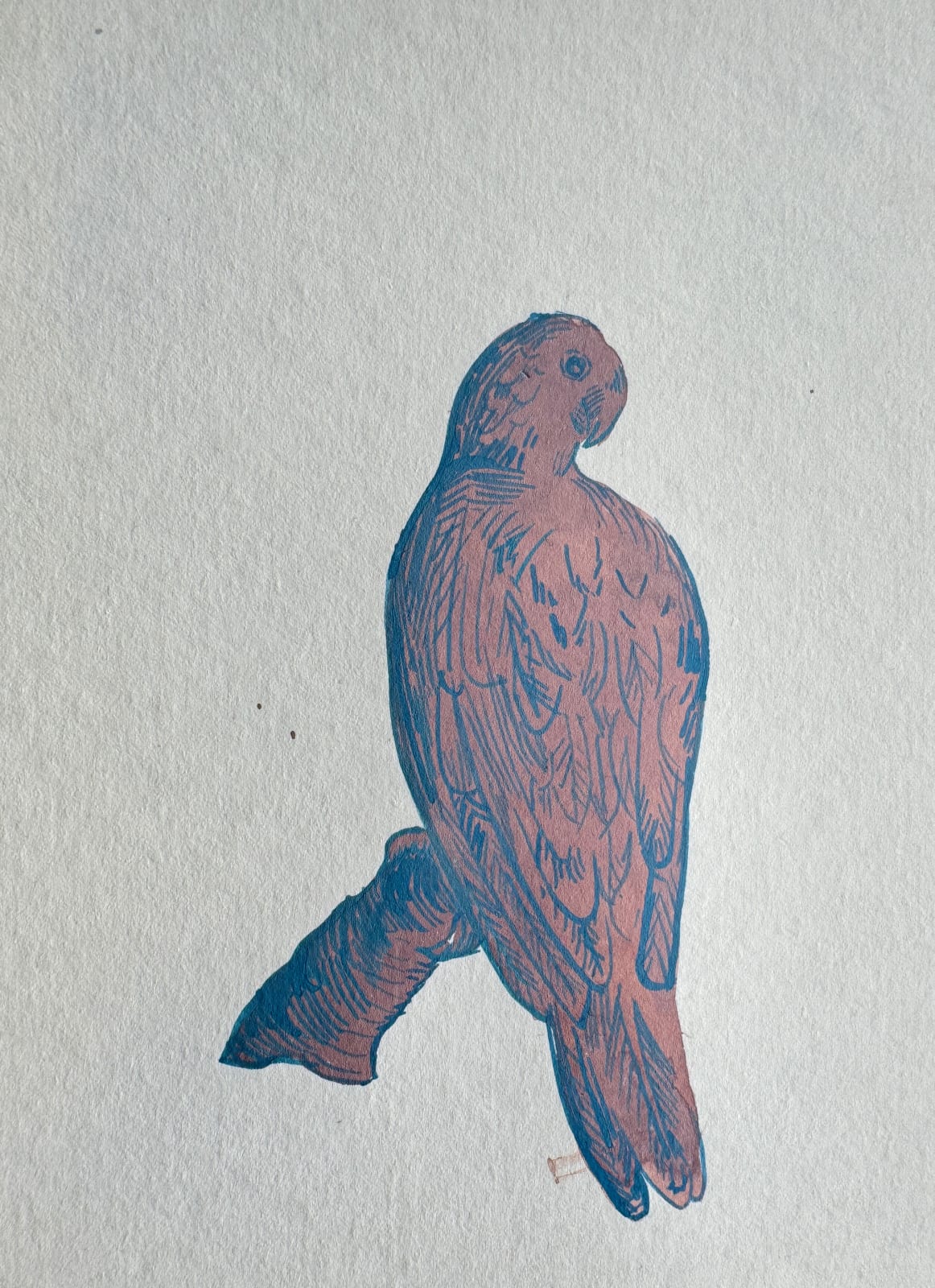 Sharon Goodwin, Unknown (bird), 2024