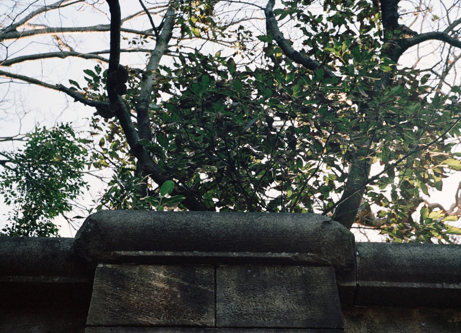 Drew Pettifer, Untitled (Darlinghurst Gaol sky), 2023