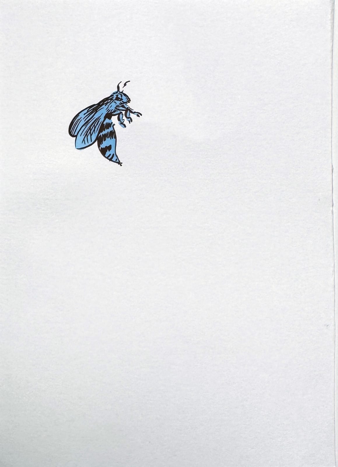 Sharon Goodwin, Black and gold, 2024