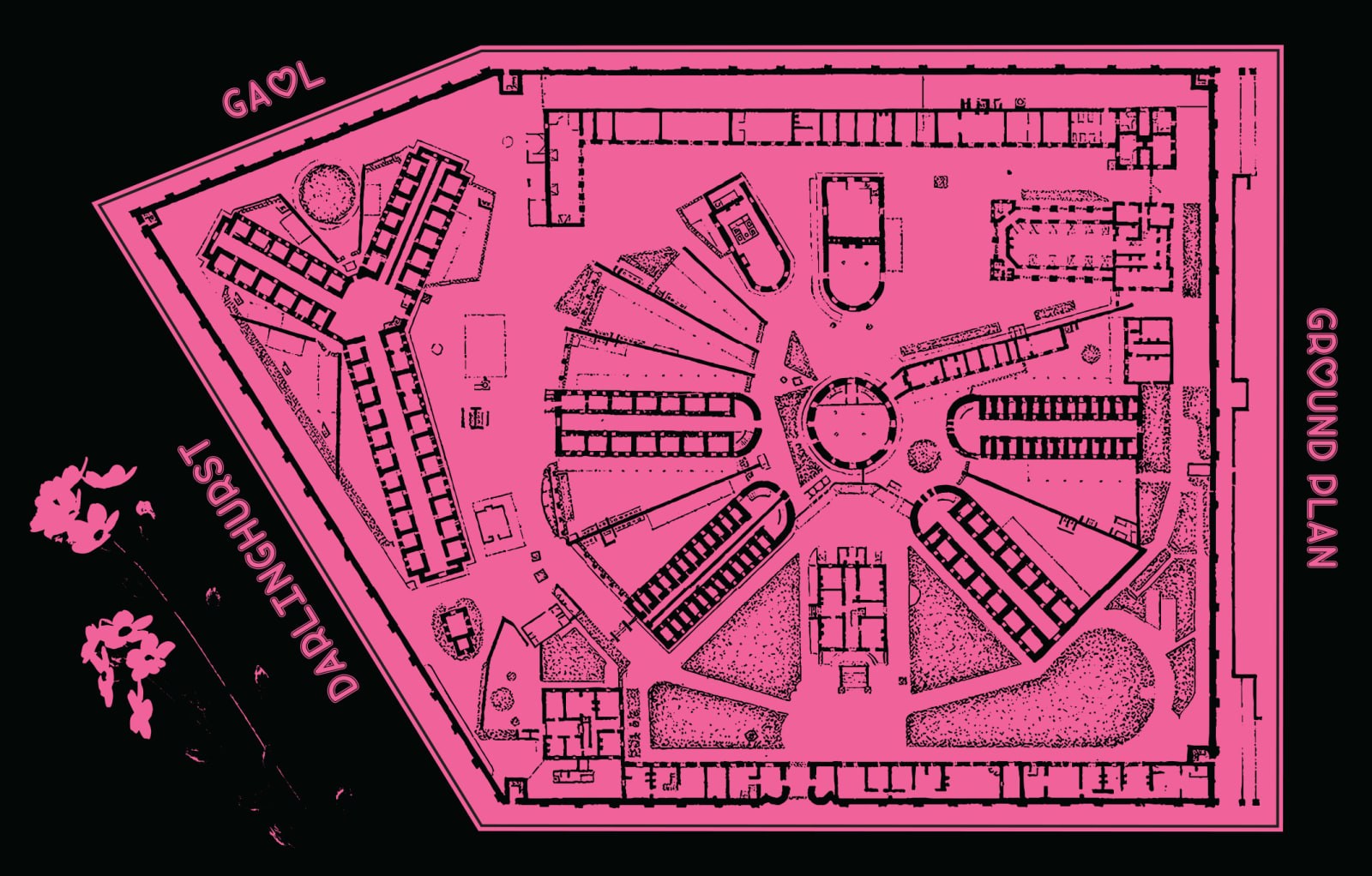 Drew Pettifer, Untitled (Forget me not), 2022-23