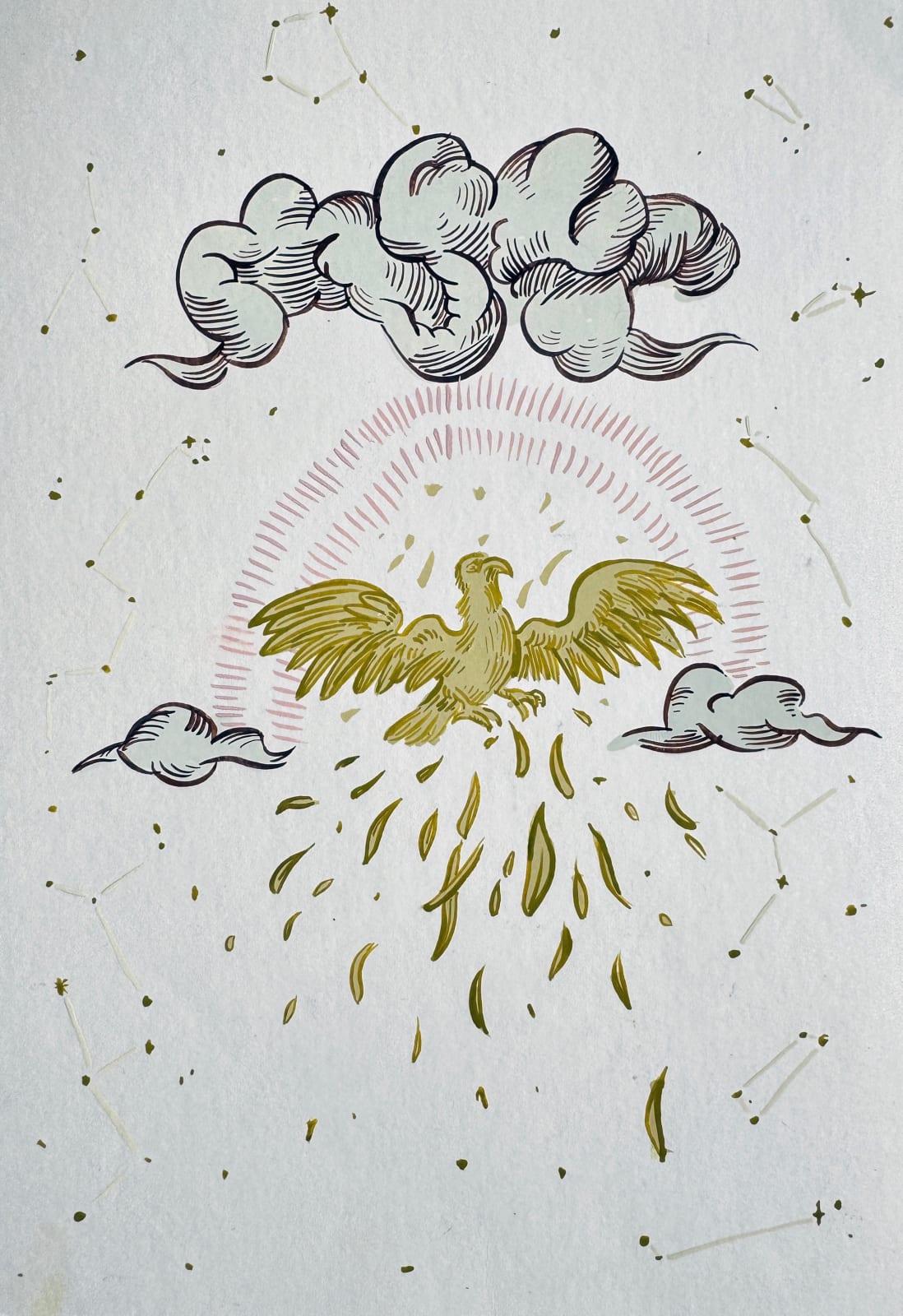 Sharon Goodwin, Sparrowhawk, 2024