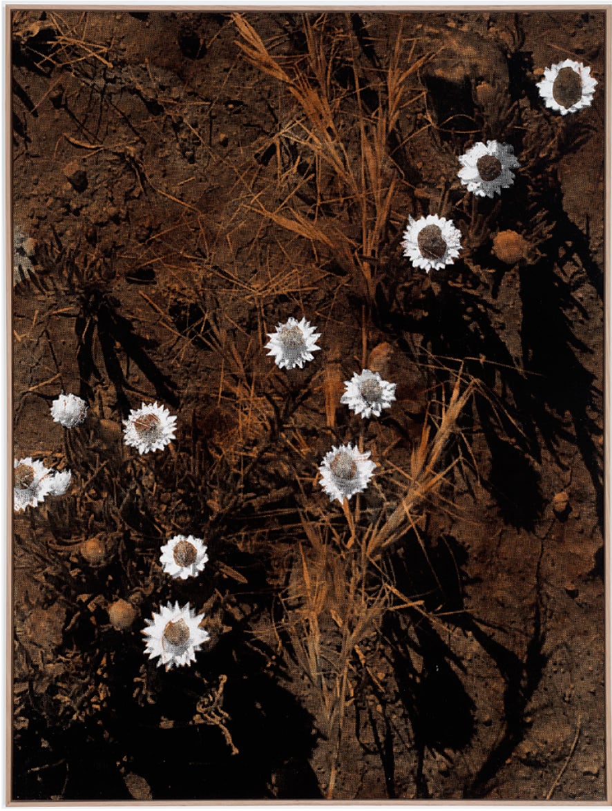 Kate Daw, KATE DAW AND STEWART RUSSELL — Two Homes (flower), 2016