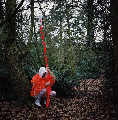 Christian Thompson AO, Xanthorrhoea Australis #2, 2009