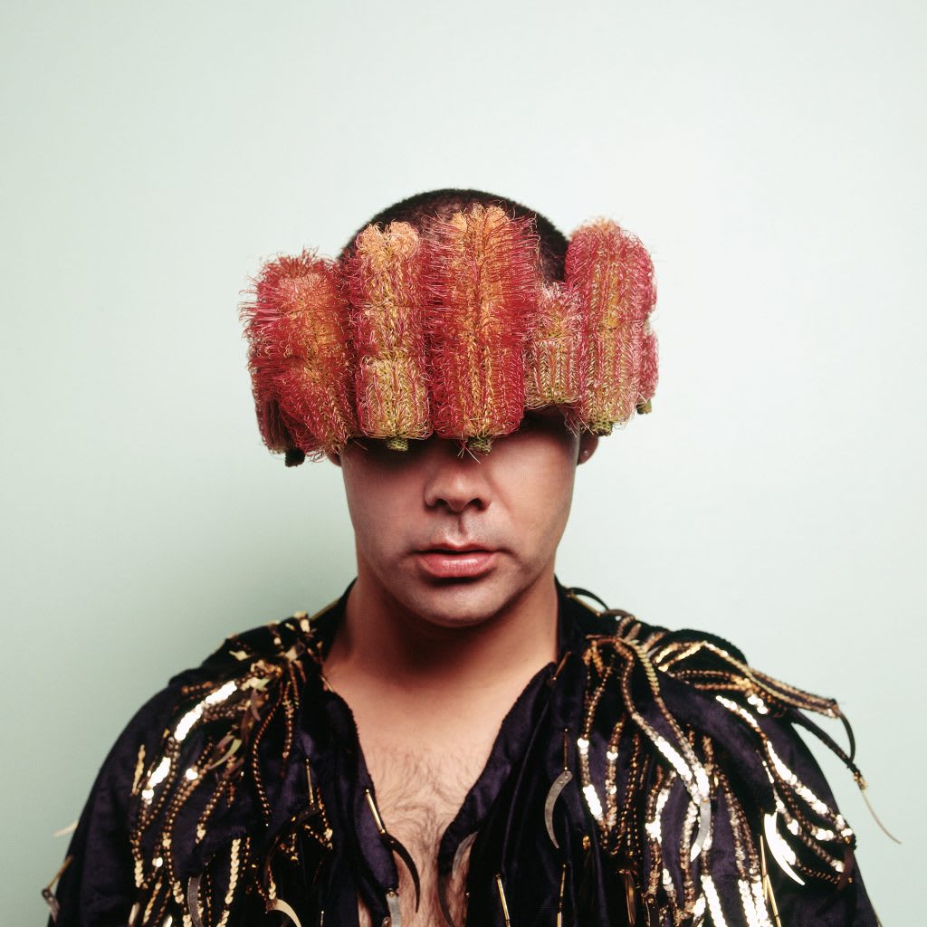 Christian Thompson AO, Untitled (Banksia), 2007