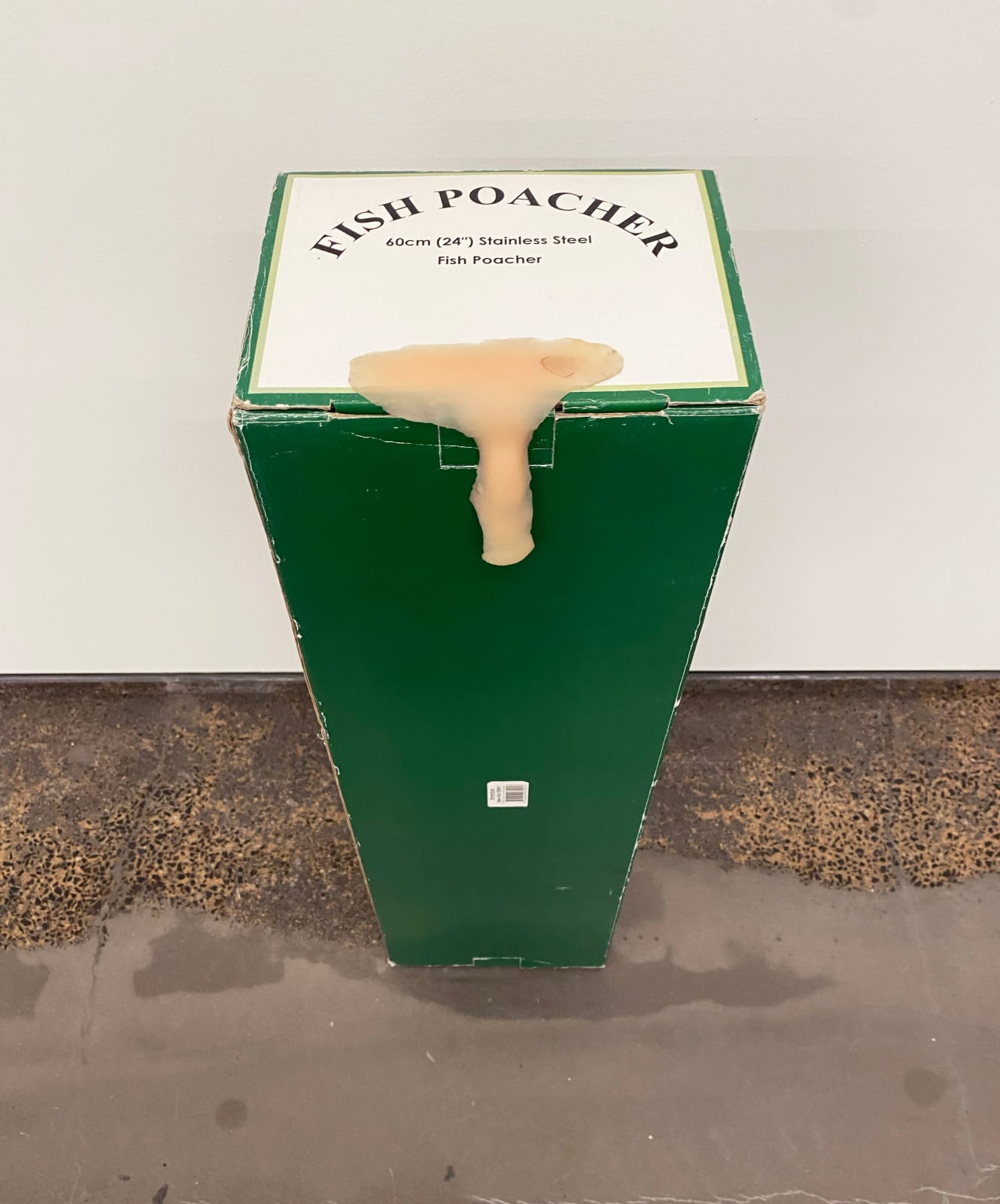 Lou Hubbard, Nose Box, 2025