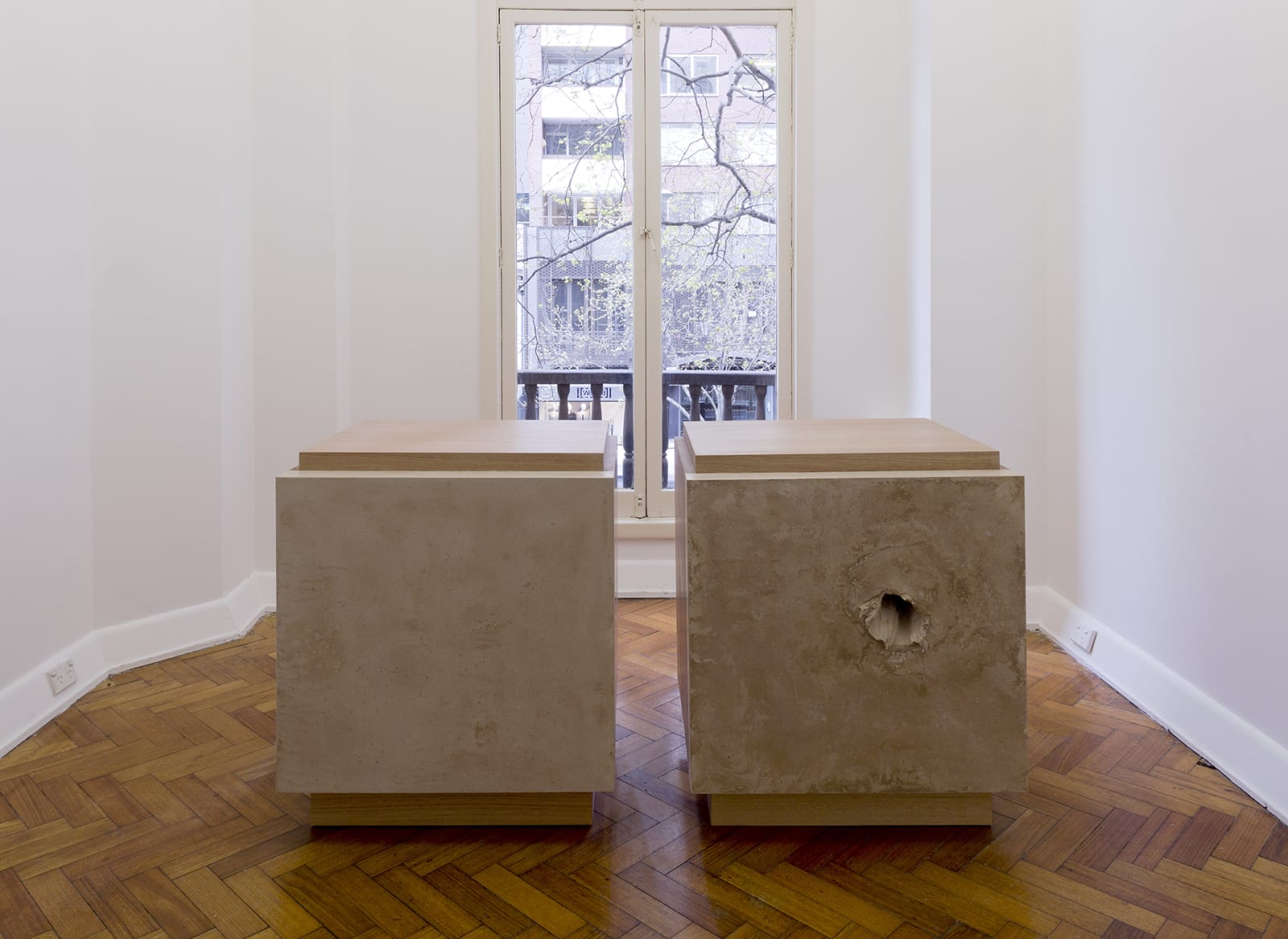 Fiona Abicare, Overexposures, 2016