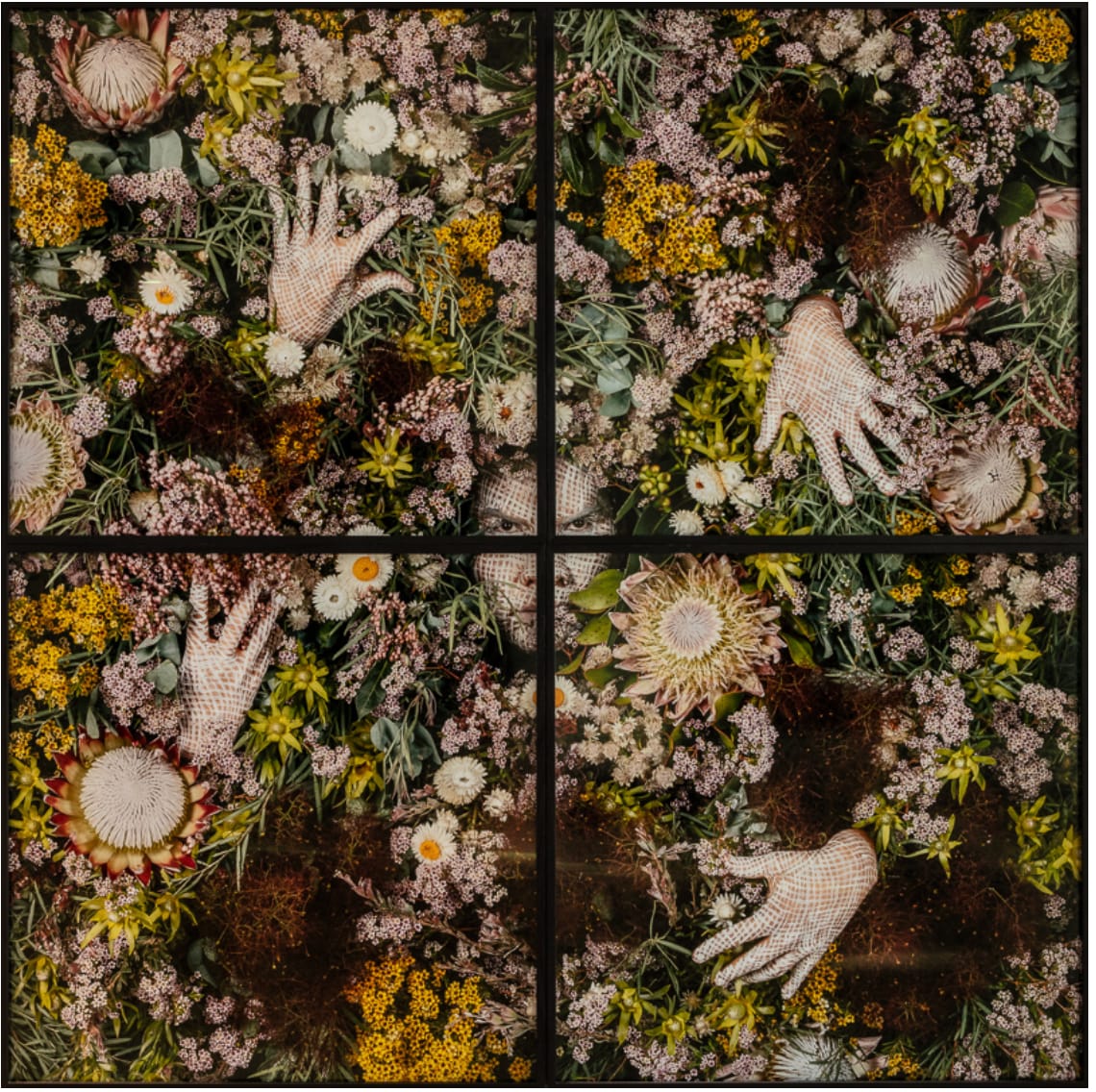 Christian Thompson AO, The Meaning of Fire (Flower Wall), 2021