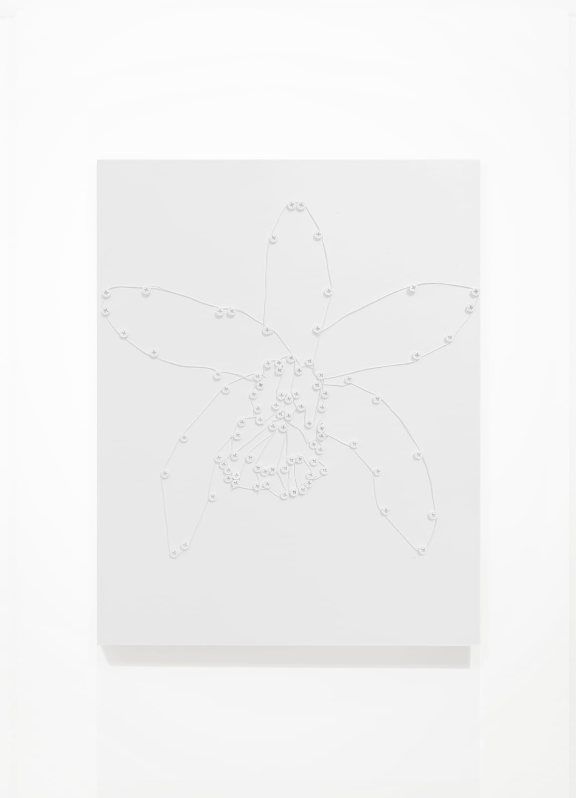 Dalton Stewart, Orchid (for Kate), 2022