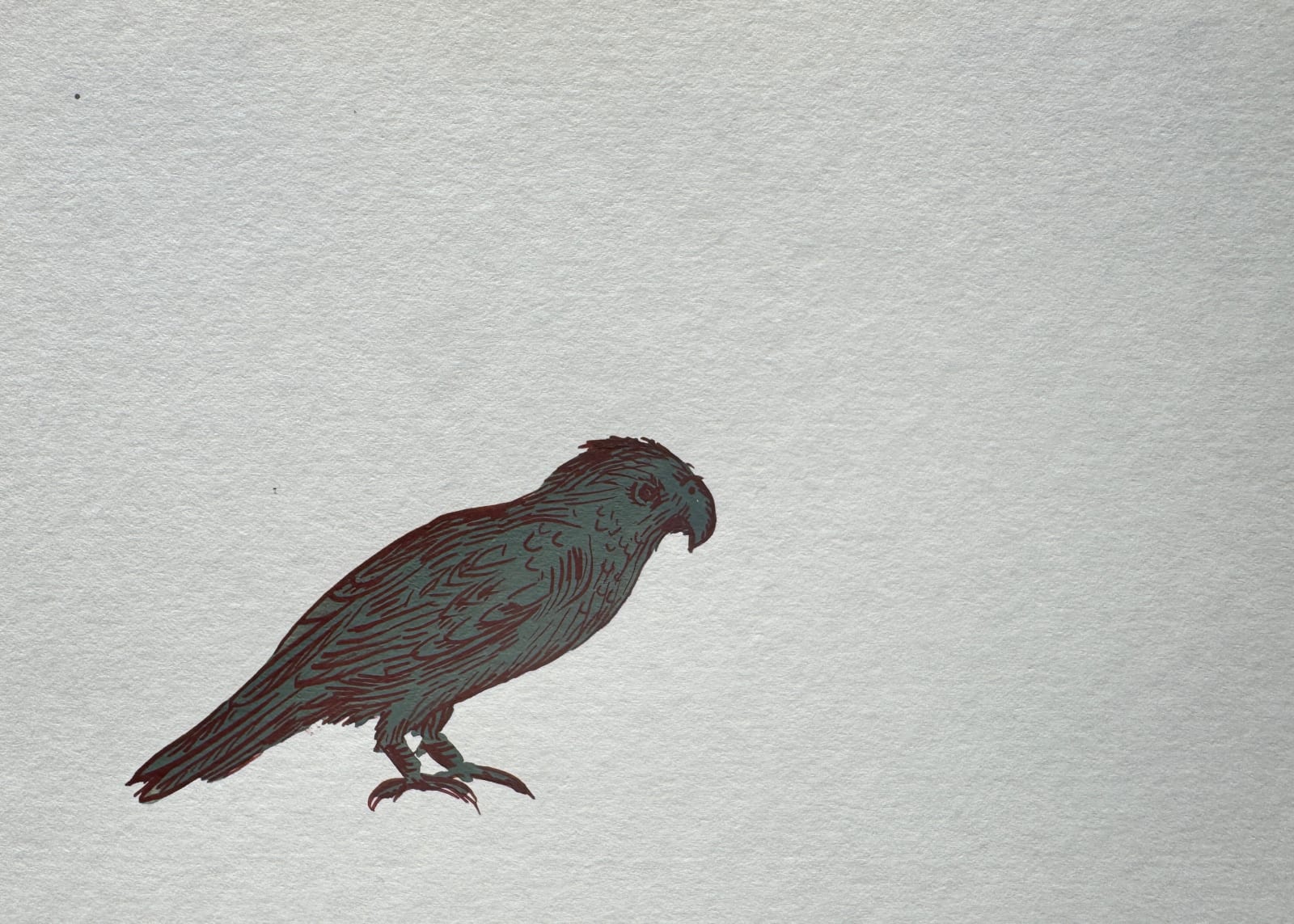 Sharon Goodwin, Unknown (bird 2), 2024