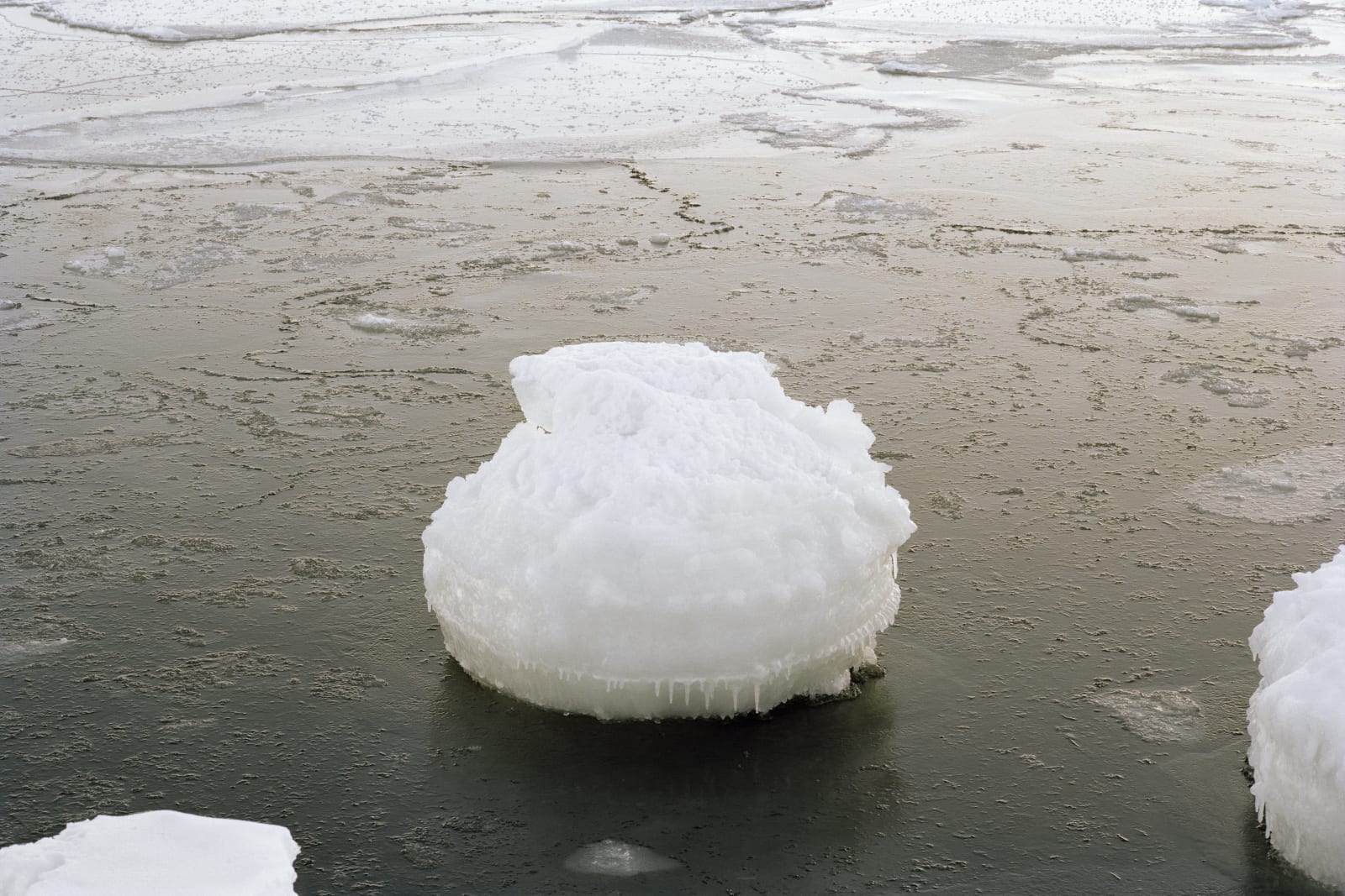 Sanja Pahoki, Frozen Ball (Suomenlinna), 2012